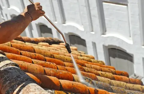 Nettoyage de toitures - Marlhes